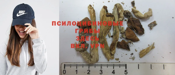 СК Алексин