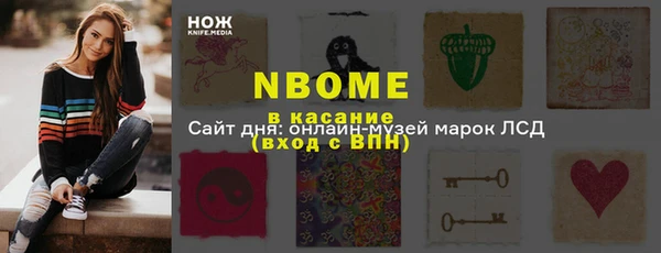 СК Алексин