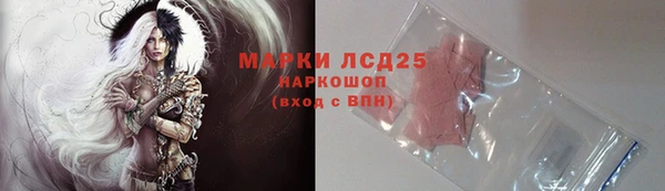 спайс Алзамай