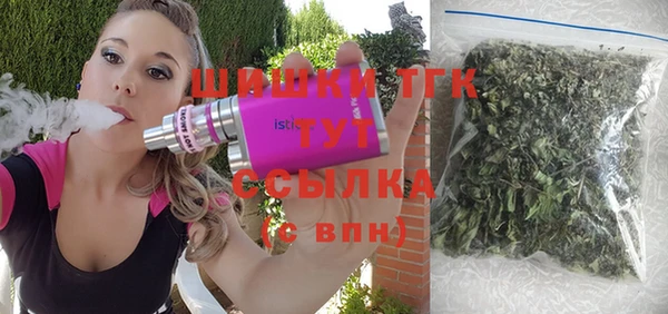 СК Алексин