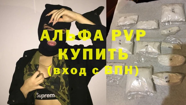 СК Алексин