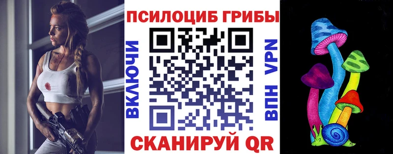 Псилоцибиновые грибы Magic Shrooms  mega ссылки  Киселёвск  darknet какой сайт  купить  