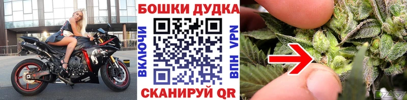 Шишки марихуана ГИДРОПОН  МЕГА ТОР  Киселёвск  где продают наркотики 